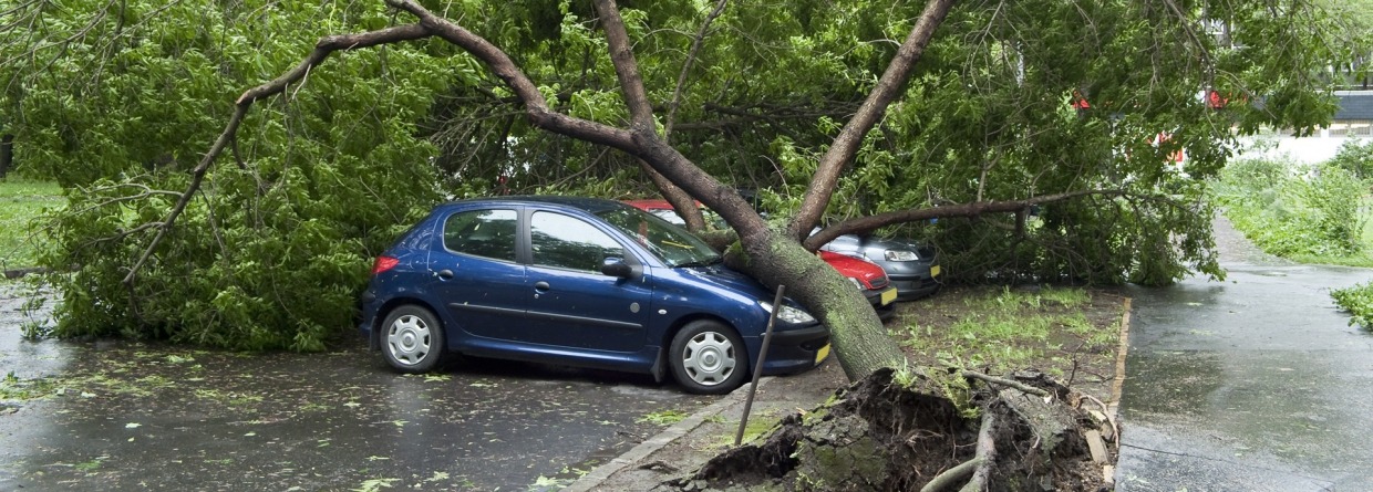 Stormschade auto